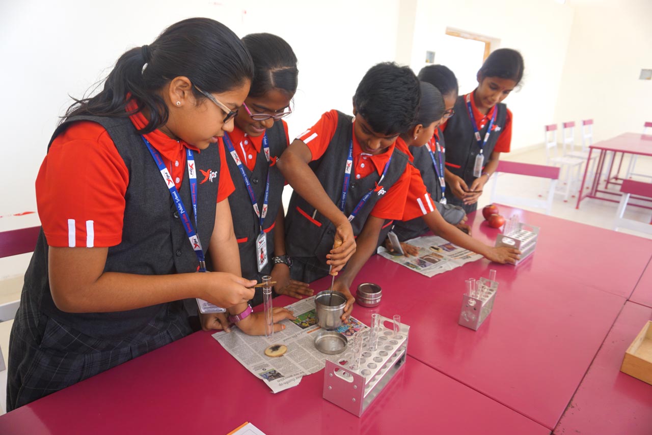 Science & Lab Activity